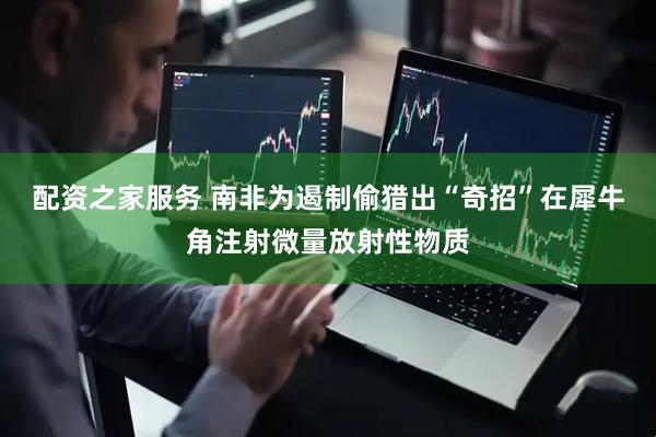 配资之家服务 南非为遏制偷猎出“奇招”在犀牛角注射微量放射性物质