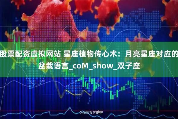 股票配资虚拟网站 星座植物传心术:月亮星座对应的盆栽语言_coM_show_双子座