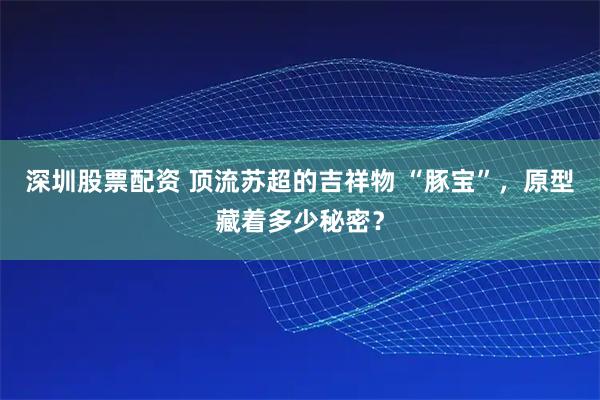深圳股票配资 顶流苏超的吉祥物 “豚宝”，原型藏着多少秘密？