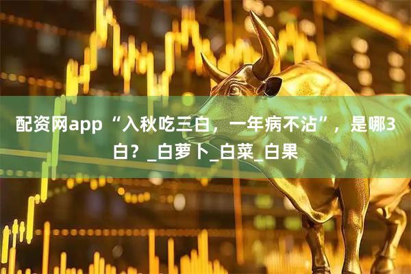 配资网app “入秋吃三白，一年病不沾”，是哪3白？_白萝卜_白菜_白果